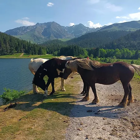 Le Bonheur Du Montagnard